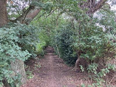 Photograph of Milhouse Lane, Bedmond