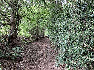 Photograph of Milhouse Lane, Bedmond