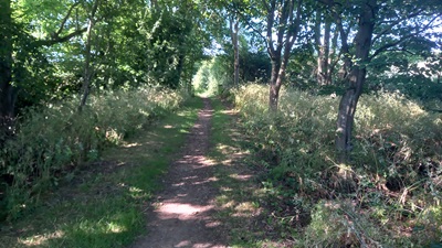 Photo of Tewin 4 bridleway