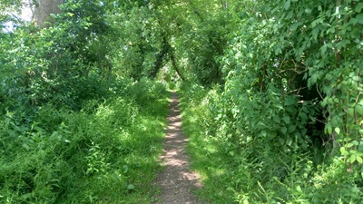 Photograph along Tewin 8 bridleway