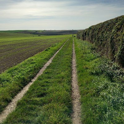 Photograph of Royston 13 and Therfield 12