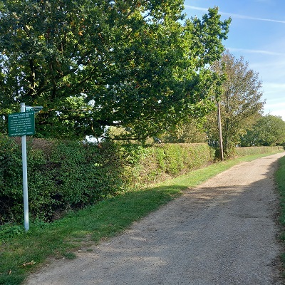 Photograph of Royston 13 and Therfield 12