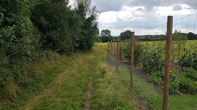 Therfield 34 to 17 gap