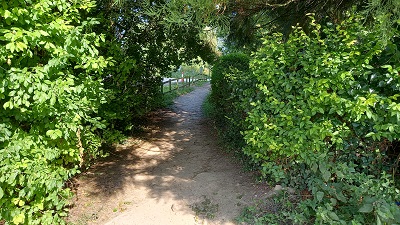Photograph of Thorley Wish List 1 path (part of Thorley 28 FP)