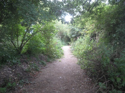 Tring Rural UCR1