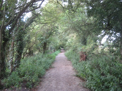 Tring Rural UCR1