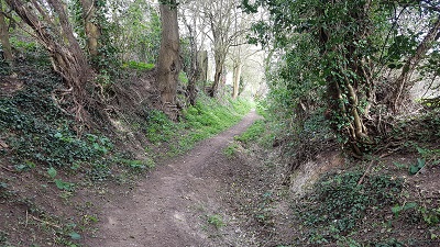 Photograph of Wareside 57