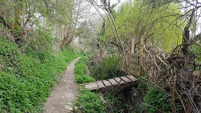 Photograph of Wareside 57
