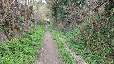 Photograph of Wareside 57