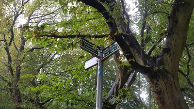 Photograph of Watford Rural 6
