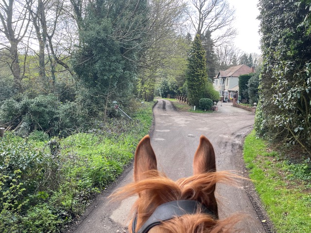 Photograph of Welwyn 12 byway