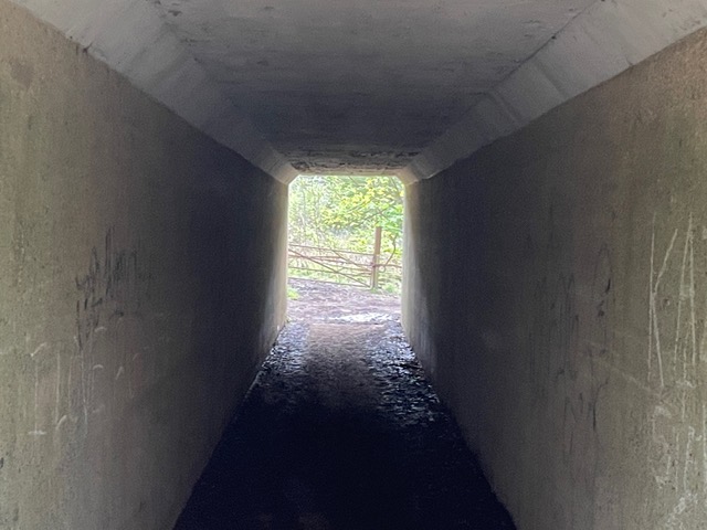 Photograph of Welwyn 12 bridleway