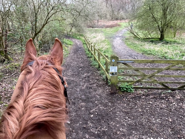 Photograph of Welwyn 12 bridleway
