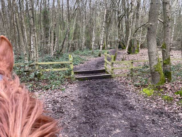 Photograph of Welwyn 12 bridleway