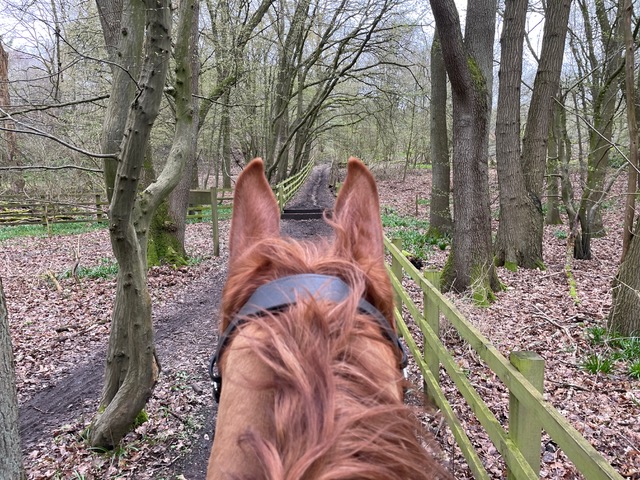 Photograph of Welwyn 12 bridleway