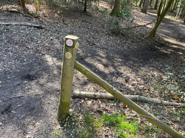 Photograph of Welwyn 28 byway