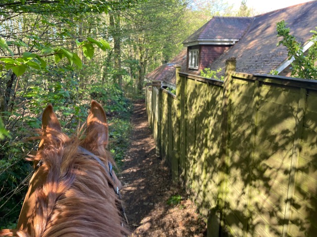 Photograph of Welwyn 28 byway