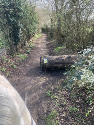 Welwyn 36 heading southeast
