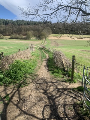Welwyn 36 heading southeast