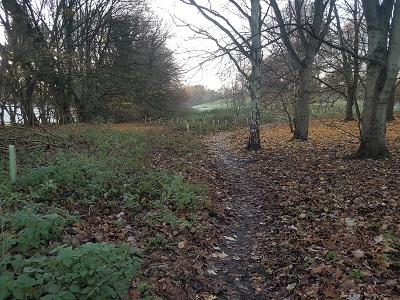 Photograph of Welwyn Garden City 57 bridleway