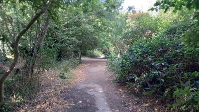 Photo of Welwyn Garden City 69