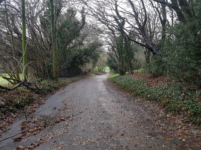 Photograph of Welwyn Garden City 79, Old Herns Lane
