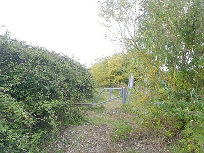 Link from road to Weston 48