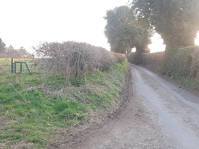 Photograph of Waterend Lane (Quiet Lane)