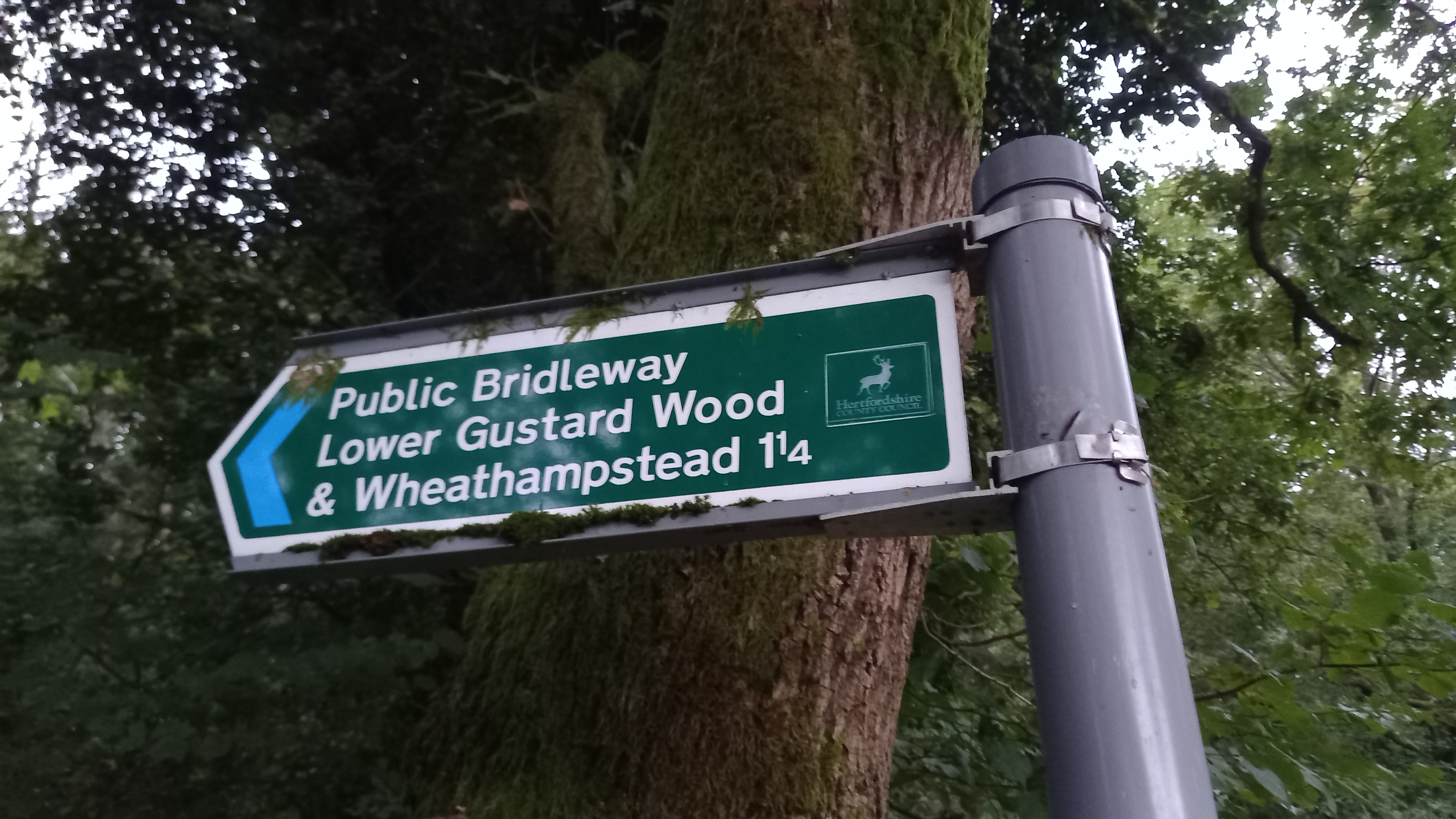 Wheathampstead 101 photo