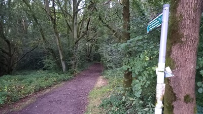Wheathampstead 101 photo