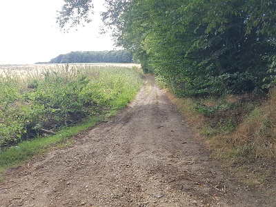 Wheathampstead 3 looking west from Marford Road