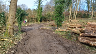 Photograph of Whippendell riding route A