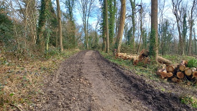 Photograph of Whippendell riding route B