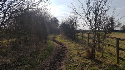 Moles Lane