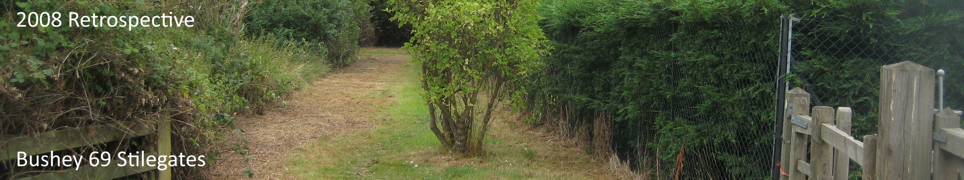 2008 Retrospective - Image of Bushey 69 bridleway