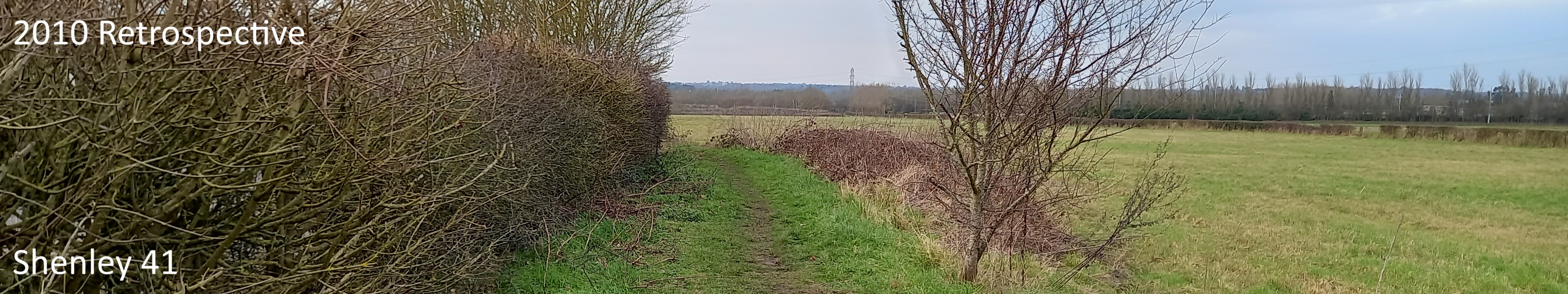 2010 Retrospective - Image of Shenley 41 bridleway with hedge to left and open field to right, taken in 2025