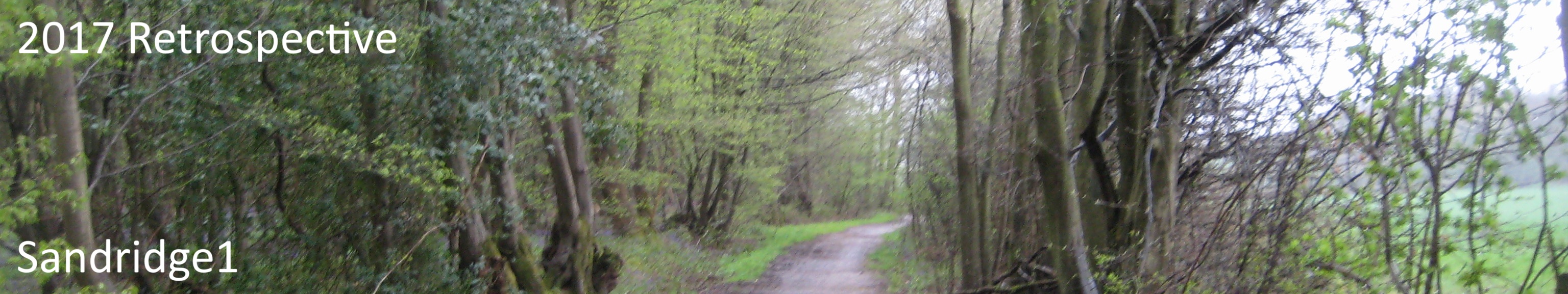 2017 Retrospective - Image of Sandridge 1 restricted byway