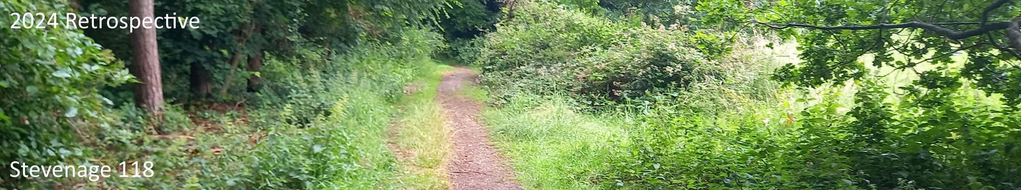 2024 header image - Stevenage 118 bridleway