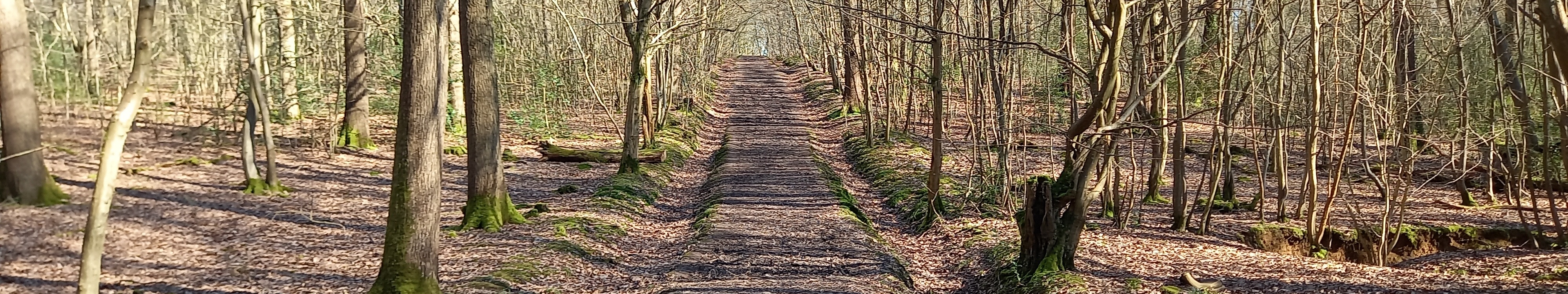 2025 header image - Hoddesdon 73 bridleway