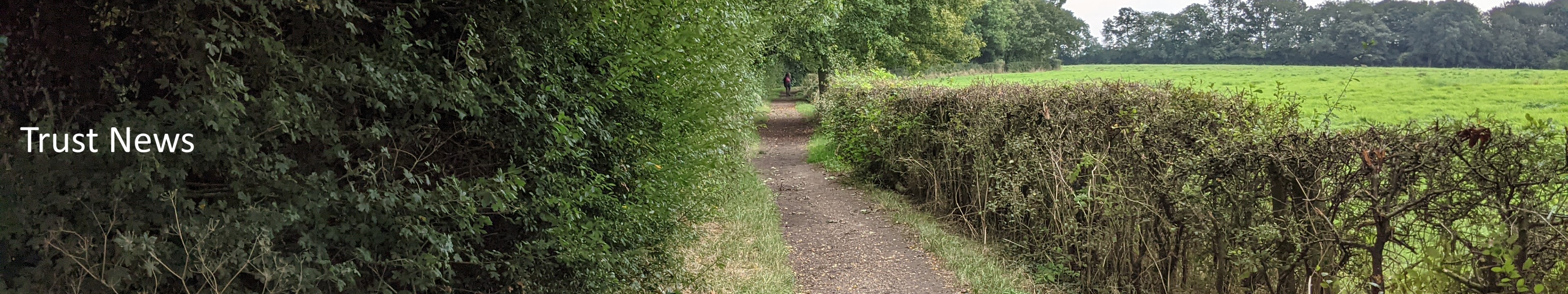 PGBT News image - Aldenham 5